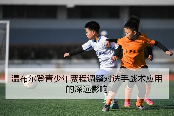 wen-bu-er-deng-qing-shao-nian-sai-cheng-tiao-zheng-dui-xuan-shou-zhan-shu-ying-yong-de-shen-yuan-ying-xiang-2-540.jpg